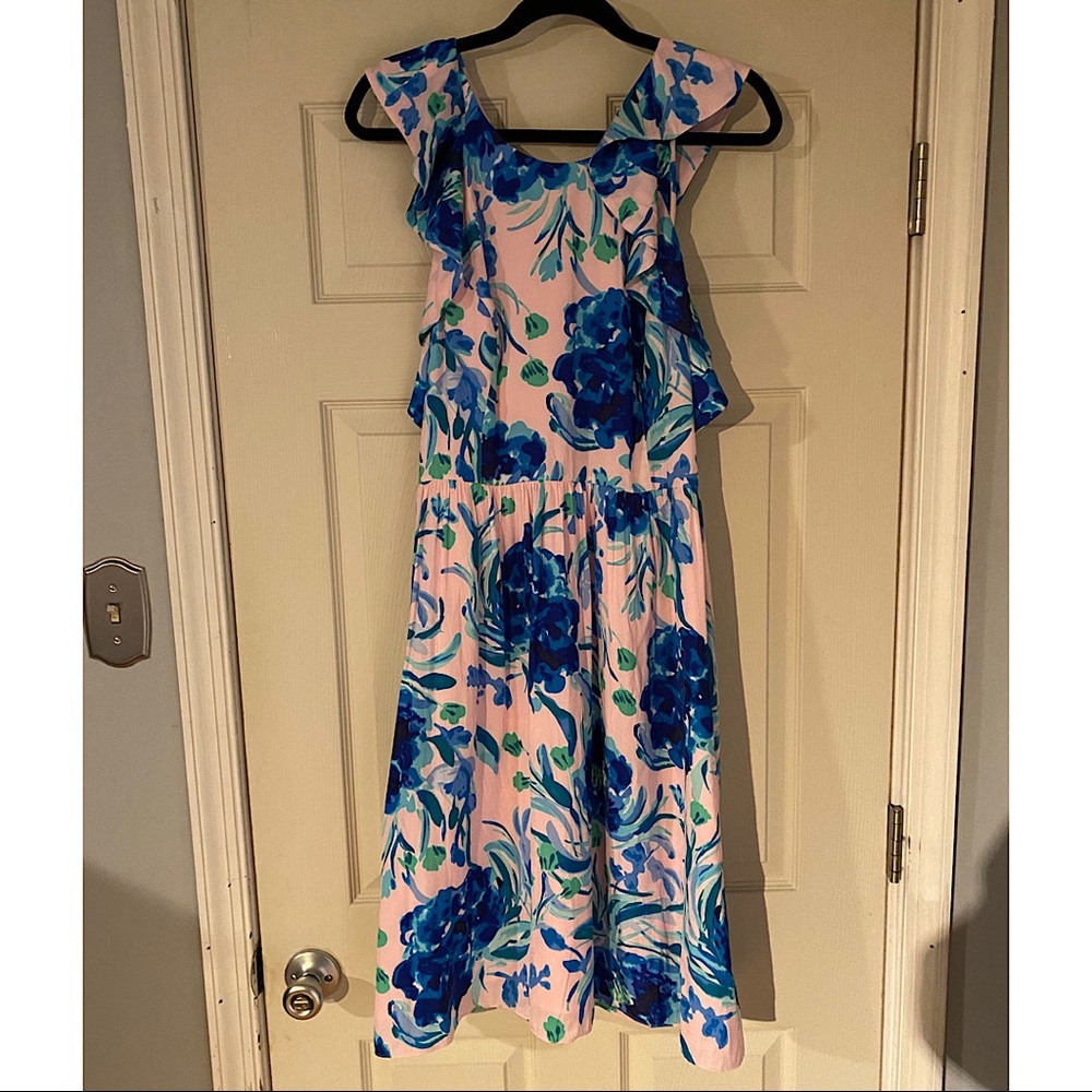 Lilly Pulitzer Rory dress